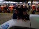 Oldtimerweekend 2014 - zondag2